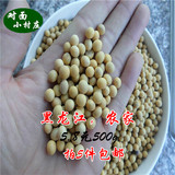 东北特产五谷杂粮 黑龙江农家自种黄豆 纯天然非转基因能发芽大豆