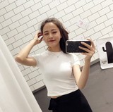 韩国螺纹棉弹力修身糖果色打底衫半高领短袖T恤女纯色紧身上衣