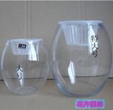 玻璃花瓶水培植物玻璃器皿敞口鹅蛋型花瓶送定植栏花盆定植篮特价