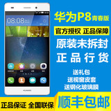 正品现货送豪礼Huawei/华为 P8青春版 电信/移动联通双4G全新手机