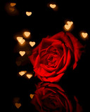 斐兰朵 新款 diy数字油画卧室花卉情侣手绘画情人节礼物爱心玫瑰