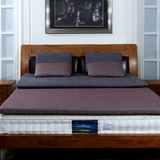 晚安床垫 乳胶中厚软垫 按摩型5CM 全棉羊毛加厚保暖床垫晚安家纺