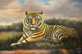 美国代购 油画 油画画布24 x36——老虎 写实主义