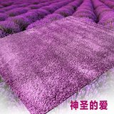 捷成地毯客厅卧室沙发茶几紫色长毛床边地毯 门厅毯单色加厚地毯