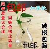 风信子花瓶花卉盆 绿萝瓶 透明玻璃花瓶 水培种植器皿盆景瓶批发