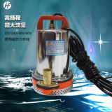 上海人民12V24V48V60V1寸3寸直流抽水机电瓶车电动车直流潜水泵