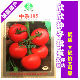 中国农科院正品保证彩包蔬菜种子粉红果番茄中杂105番茄种子10g