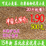 15新农家有机小麦小麦草种子小麦粒粗粮杂粮烘焙小麦仁面粉1斤
