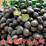 绿芯黑豆沂蒙山农家自产有机黑豆粗粮250g 大粒绿心黑豆满包邮