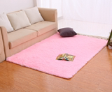 卧室满铺地毯客厅茶几卧室床边毯地垫地毯可爱地毡