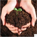 包邮花卉蔬菜配置通用型大包有机营养土养花土种菜土泥炭土培养土