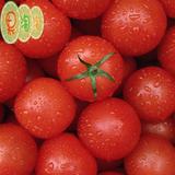 正宗海南千禧小番茄 圣女果西红柿 新鲜水果2斤装 川渝顺丰包邮