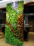 假花仿真花植物背景墙塑料绿植 把束小草坪苔藓假绿植墙景观草墙