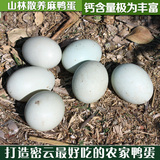 密云农家 散养 新鲜土鸭蛋 生鸭蛋 纯天然野生绿皮麻鸭蛋 20枚装