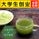 出口日本代餐粉大麦若叶青汁酵素粉满 青汁粉 纯大麦苗粉麦绿素粉