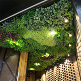仿真植物墙草坪 绿植墙体草皮假叶子阳台绿植装饰绿色植物背景墙