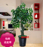 綠植假樹九星搖錢發財樹仿真植物盆栽大型客廳室內落地裝飾塑料花