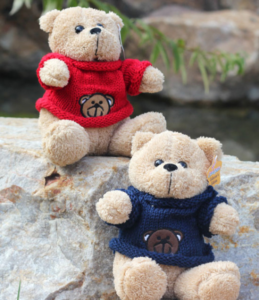 可爱情侣泰迪熊毛绒玩具熊小号穿衣小熊娃娃儿童生日礼物送女友萌