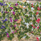 特价玫瑰花藤条藤蔓装饰  空调下水管道装饰花假花