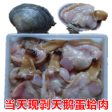 威海特产野生天鹅蛋蛤肉鲜活紫石房蛤新鲜海鲜贝类水产