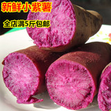 新鲜紫薯农家自产紫薯地瓜紫色番薯紫心红薯紫薯