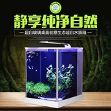 小鱼缸造景 真水草套餐阿诺比超白玻璃桌面创意海水生态水族箱