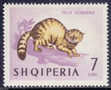 阿尔巴尼亚 1964 猫 邮票