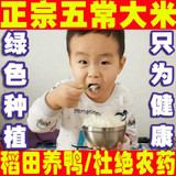 新米2015 黑龙江五常正宗有机稻花香大米dami包邮东北大米5斤试吃