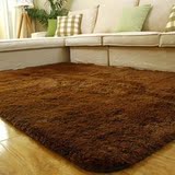 客厅地毯茶几地毯卧室地毯可定做满铺房间地毯丝毛绒地毯特价清仓