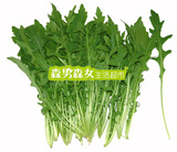 新鲜芝麻菜  芝麻菜  新鲜蔬菜西色拉 250g 北京满65包邮中通