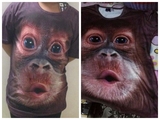夏季 3dt恤 动物图案猩猩恶搞笑3D短袖t恤男 猴子立体印花体恤女