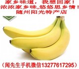 香蕉 新鲜水果 果农种植 湖北随州水果 批发同城配送