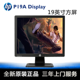 HP/惠普 P19A 台式机电脑19寸方屏 LED背光液晶显示器 显示屏