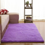 特价 加厚可水洗丝毛客厅卧室茶几地毯可爱床边毯满铺地垫 可定制