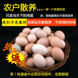 苏北正宗新鲜纯天然土鸡蛋农家散养有机土鸡蛋柴鸡蛋笨鸡蛋40包邮