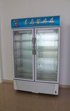 冷藏展示柜两/2双门立式588L/818L陈列保鲜柜/蔬菜水果啤酒冷饮柜