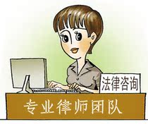 律师/法律咨询/文书合同诉状代写/案件代理/发律师函/法律援助