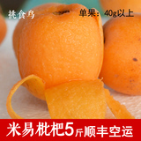 【挑食鸟】大枇杷果 应季水果新鲜 琵琶果 水果包邮顺丰空运