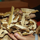 四川省大凉山特产干货 野生菌蘑菇菌类 特级优质干片 美味牛肝菌