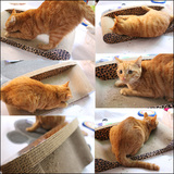 瓦楞纸宠物沙发猫咪磨爪磨牙玩具猫抓板英短加菲猫床送逗猫棒猫玩