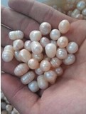 天然淡水珍珠裸珠散珠 供佛礼佛曼茶罗曼扎 磨粉做枕头批发