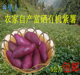 新鲜紫薯生紫心薯番薯山芋红薯地瓜农家有机种植紫薯 包邮