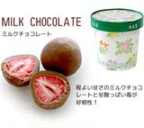 日本北海道 六花亭 草莓夹心黑巧克力 115G盒 現貨