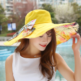夏季大沿沙滩帽女韩国防晒遮阳帽防紫外线度假旅游太阳帽子可折叠