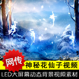 神秘幽蓝森林中花仙子精灵变化动画 LED大屏幕动态背景视频VJ素材