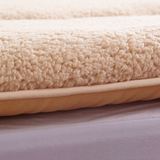 冬季保暖双人1.5m1.8/1.2米羊毛床褥子垫被羊羔绒床垫榻榻米加厚