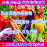 【天天特价】30种四季播蔬菜种子套餐 包邮阳台种菜 盆栽菜籽包邮