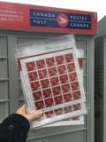 加拿大代购加拿大邮局Canada Post 2016年猴年生肖邮票 （预定）