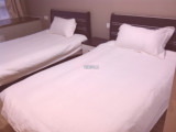 直销新款宾馆家具酒店家具 定做床架床头柜软包床靠 公寓宿舍床