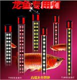 龙鱼灯双排led潜水灯鱼缸水族箱水草龙鱼专用灯红龙鱼照明增红